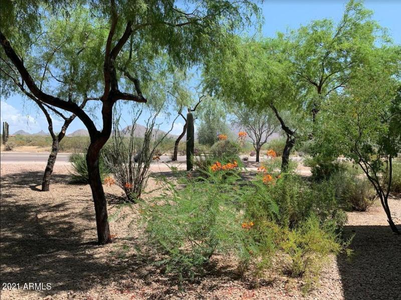 Screen Shot 2020-07-22 at 11.38.01 AM