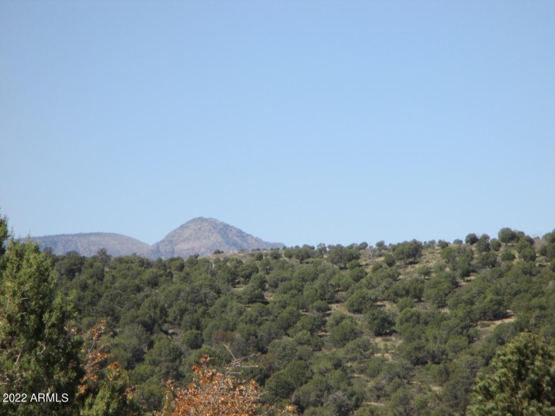 Photo 07