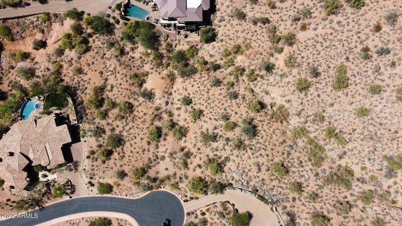 Desert Hawk