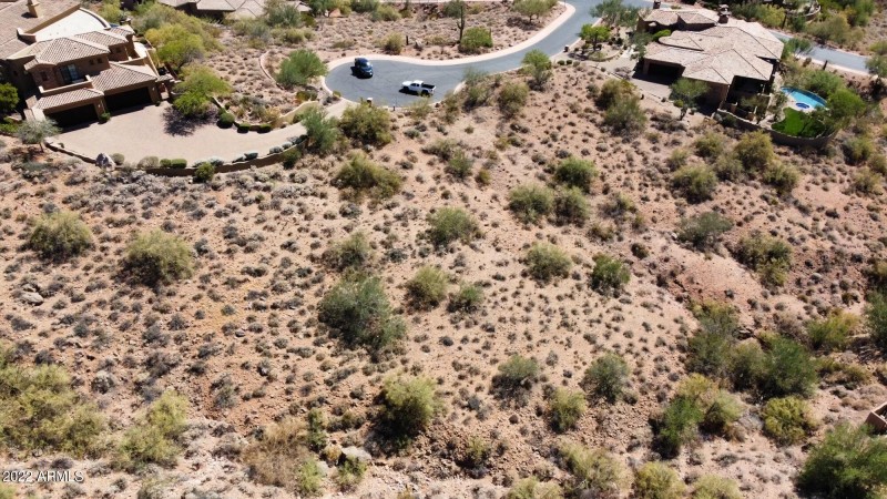 Desert Hawk