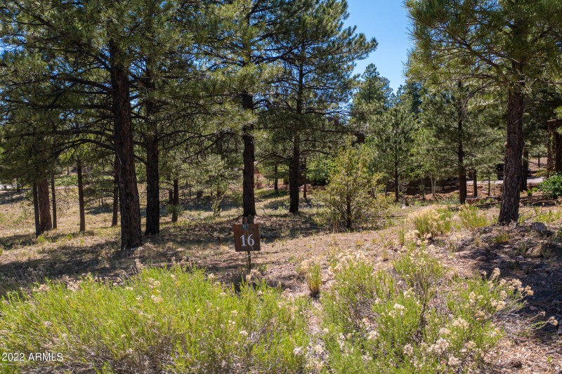 TimberCreekImagery-1