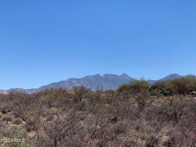 Mt. Wrightson