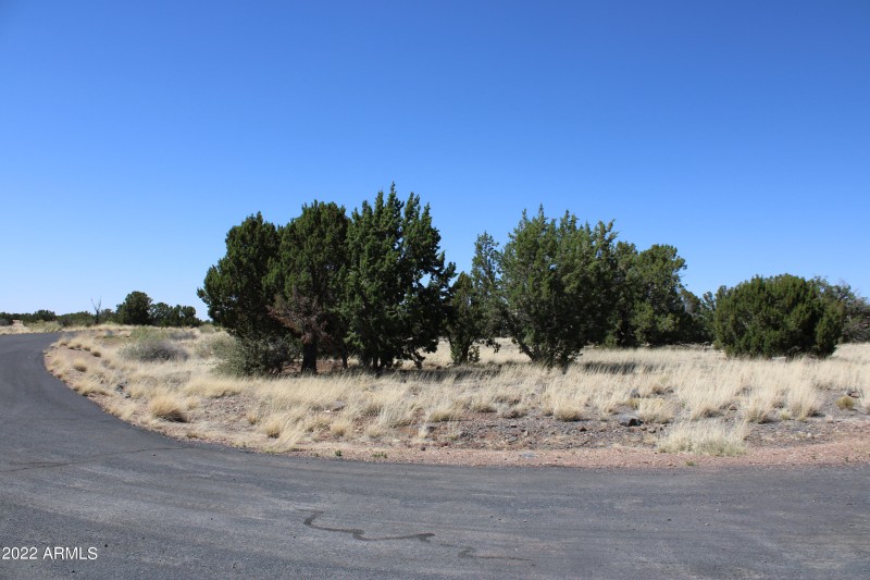 Lot 55