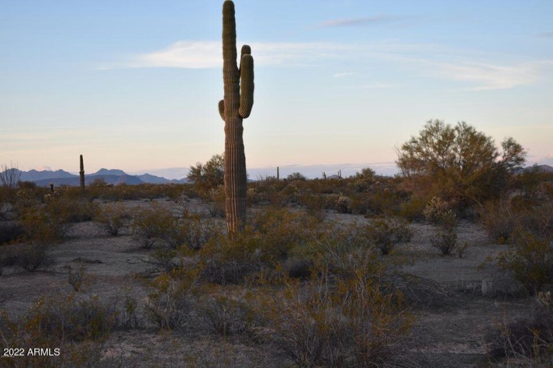tonopah 3