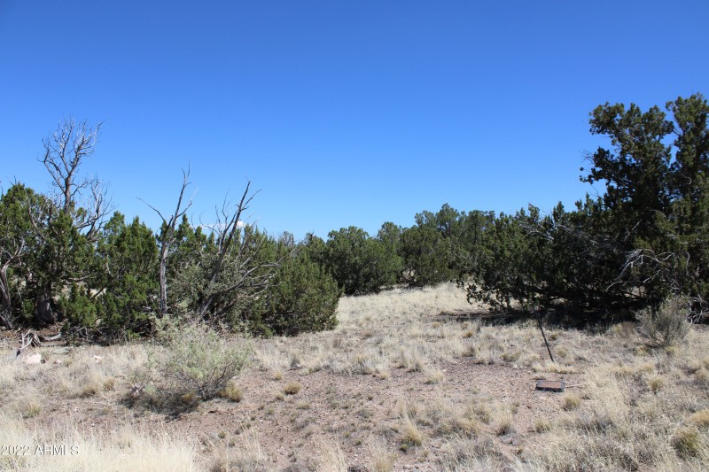Lot 21