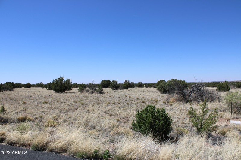 Lot 9
