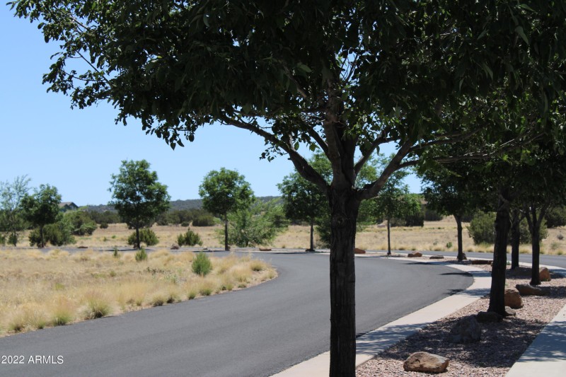 Entry Access to Canyon Vista Estates