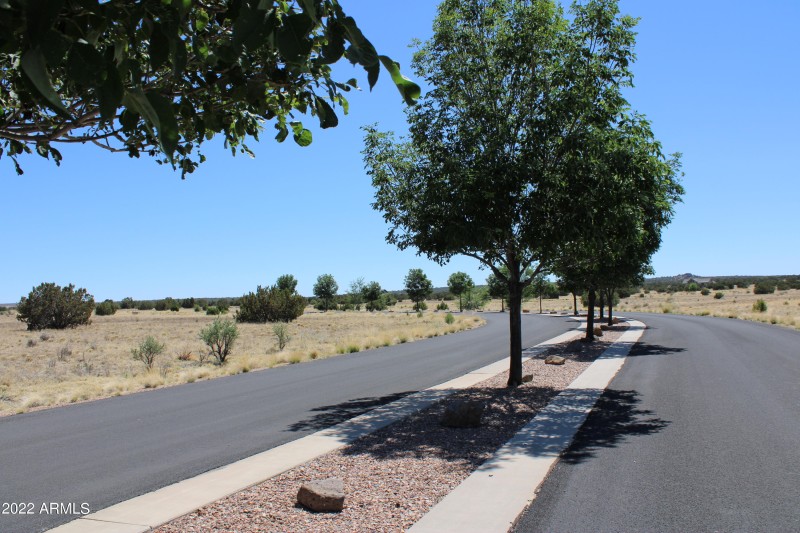 Paved Roads