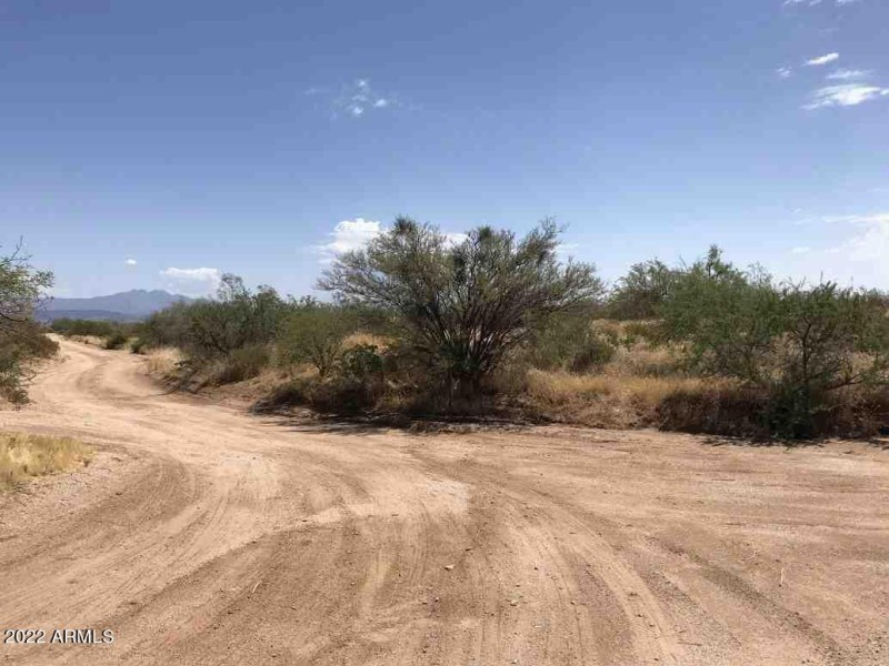 216.77.044 18.34 Acres East along Red Bi