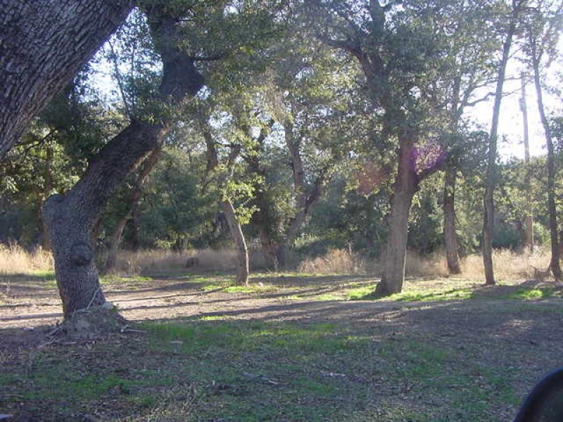land