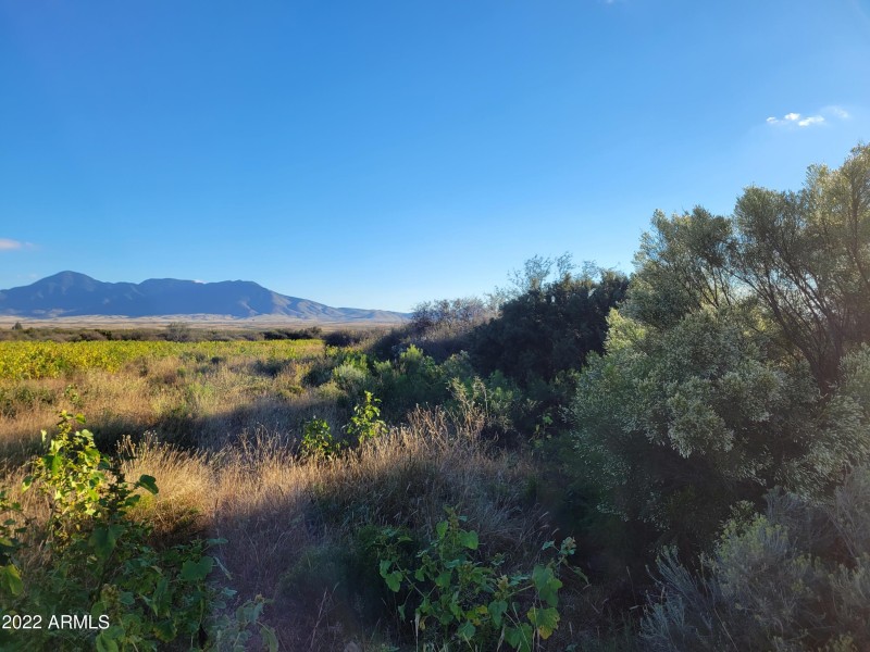 7.48 Acres Willys Run