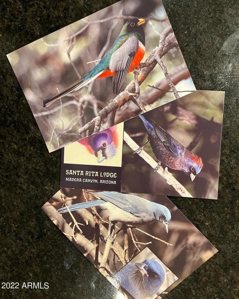 Madera Canyon Birds
