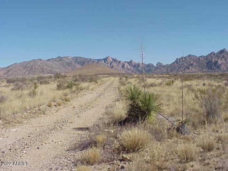 BUTTERFIELD TRAIL