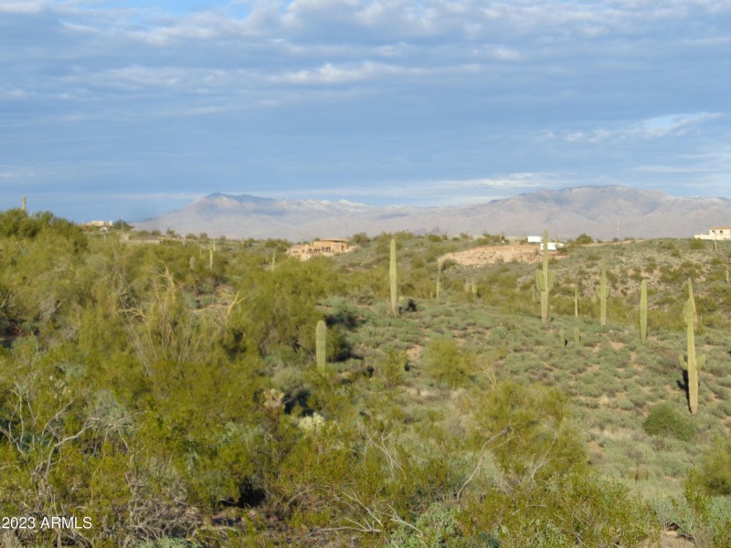 Mountain Views (2)