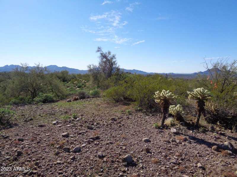 Landscape by orange ribbon cluster