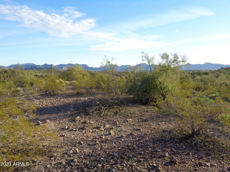 Landscape to west