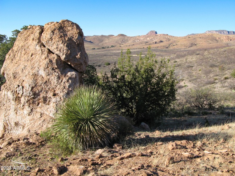 N. Hidden Oaks Trail Lot 40