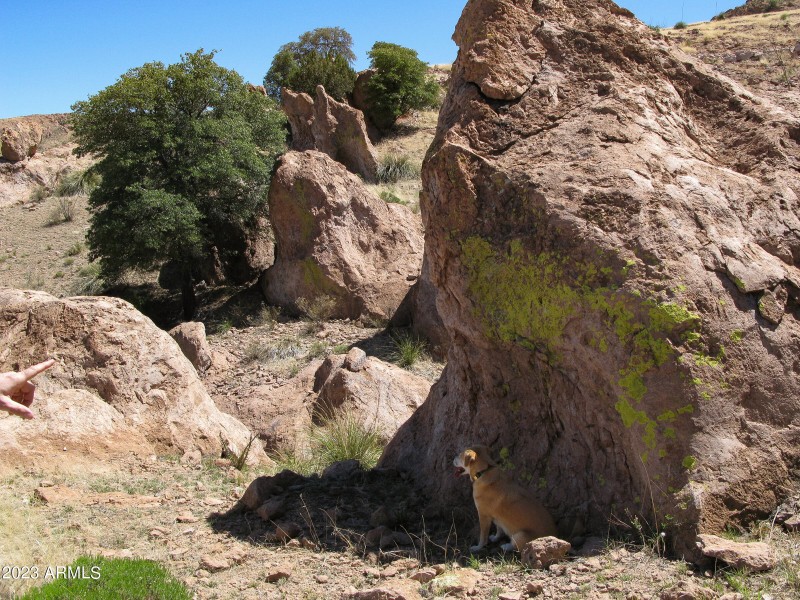 Big boulders sprinkled throughout
