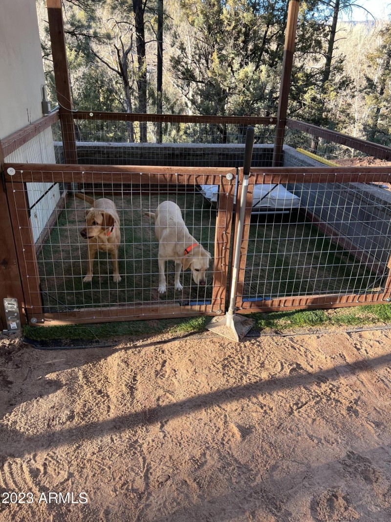 10 - Dog Run - 1