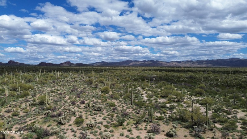 DJI_0856