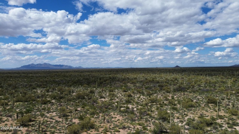 DJI_0859