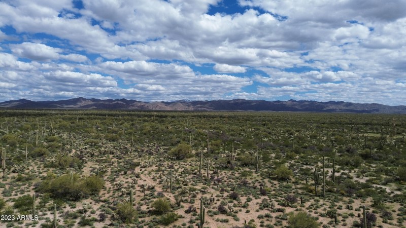 DJI_0861