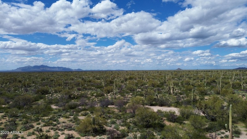 DJI_0874