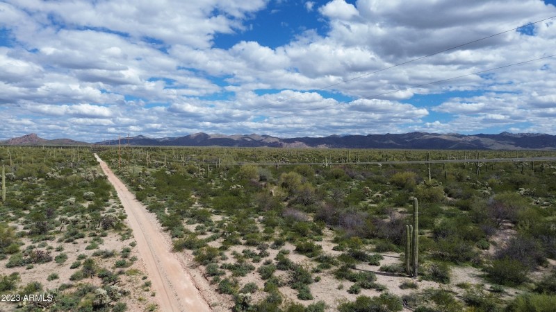DJI_0875