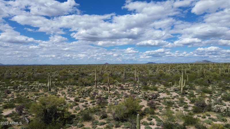 DJI_0880