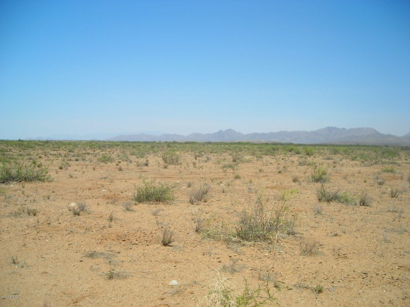 DSCN1530