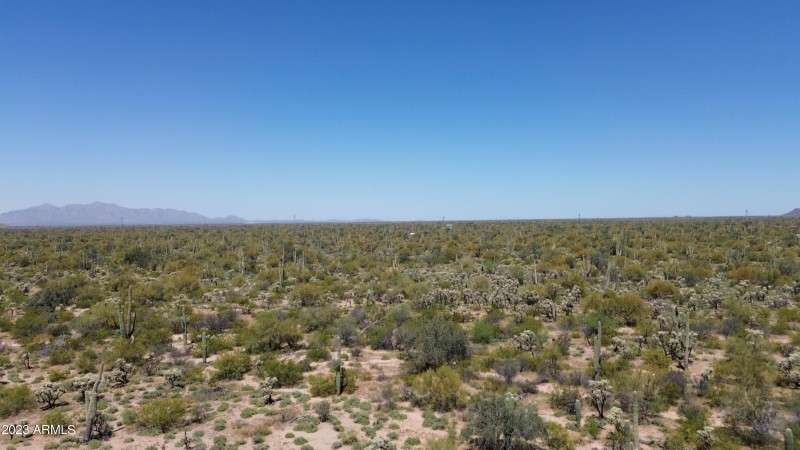 DJI_0950