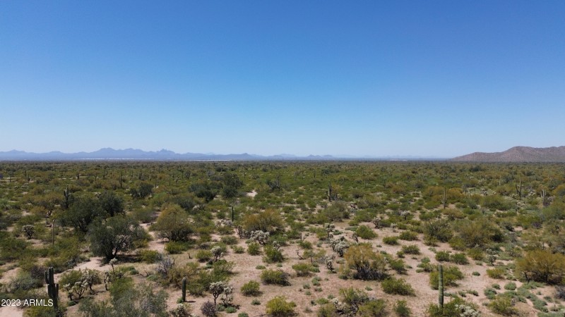 DJI_0955