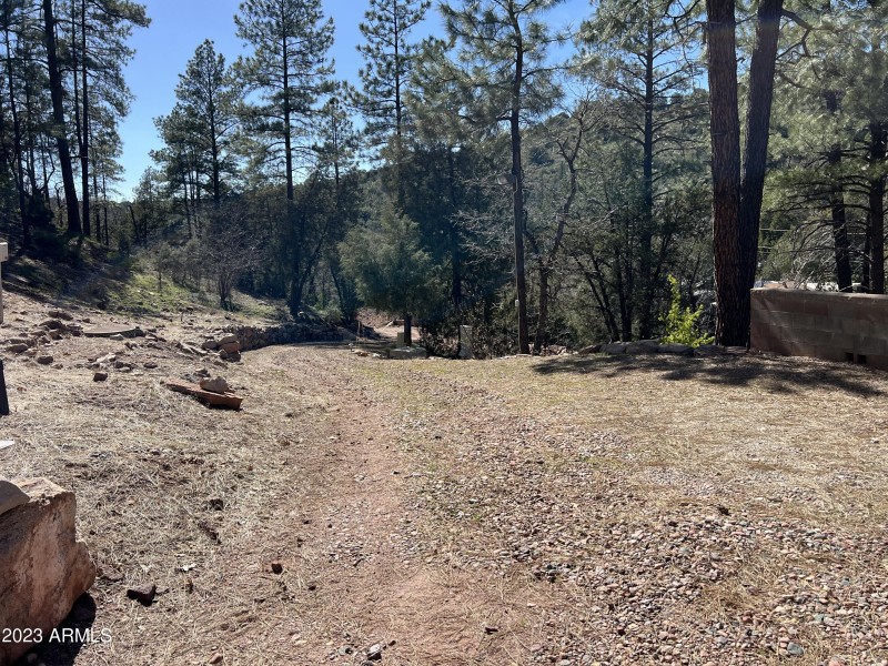 Driveway 01