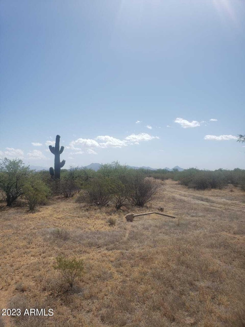 Lot 6