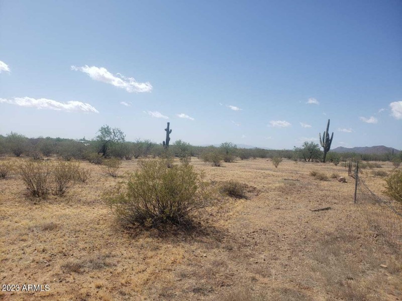 Lot 7
