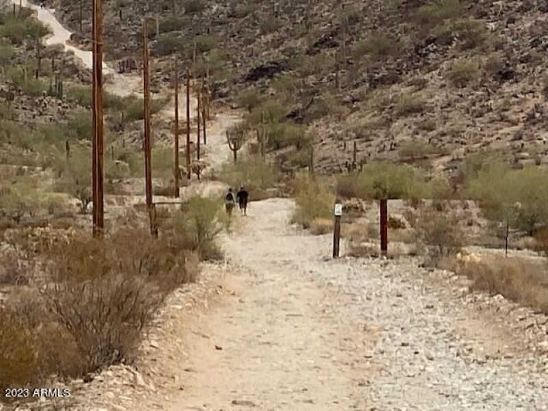 East view - Property line at Poles