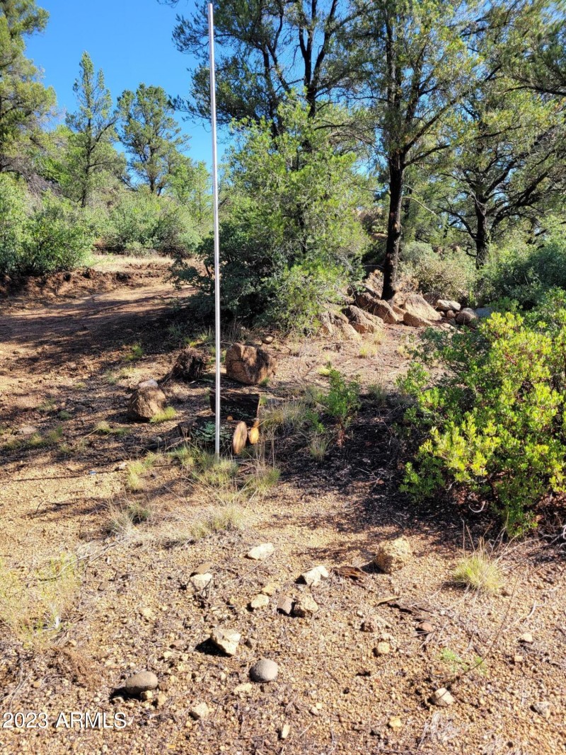 Northwest corner of property
