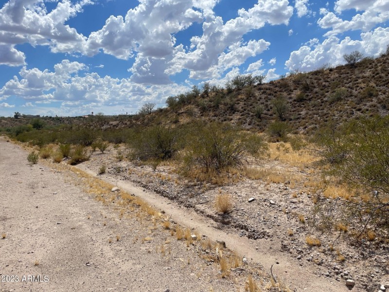Picture 6