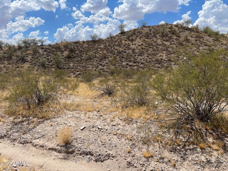 Picture 7