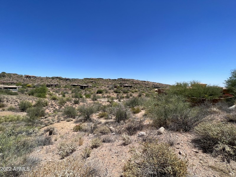 IMG-0291