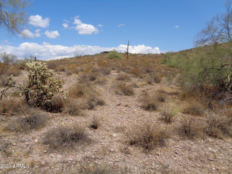 Landscape (1)