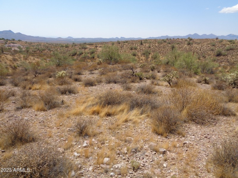 Landscape (2)