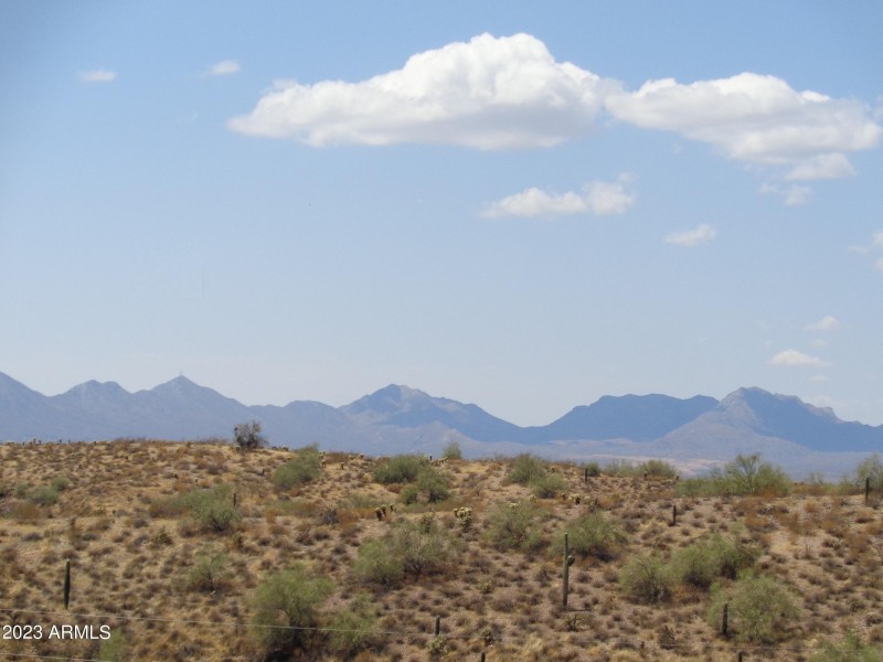 McDowell Mountains