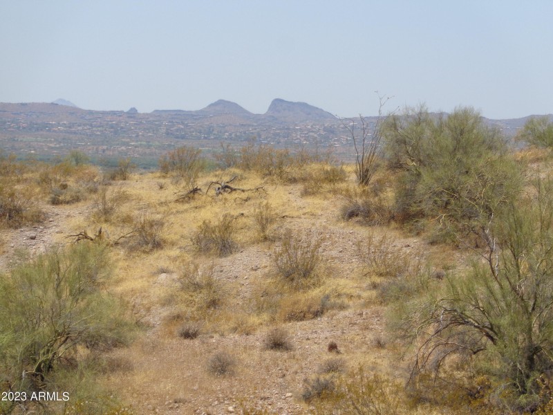Saddle Back Mtn.