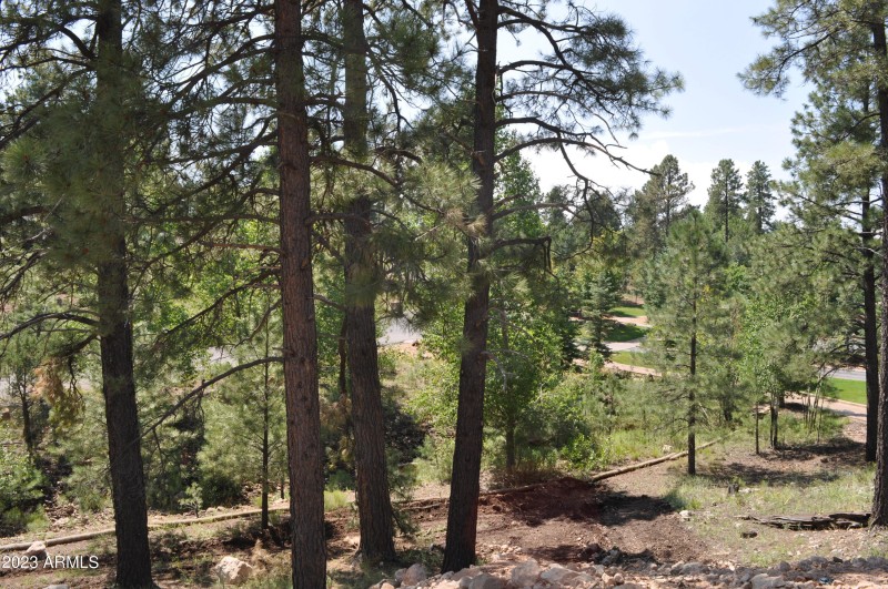 Lot Photo