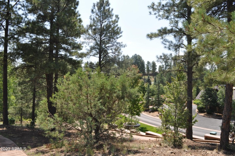 Lot Photo2