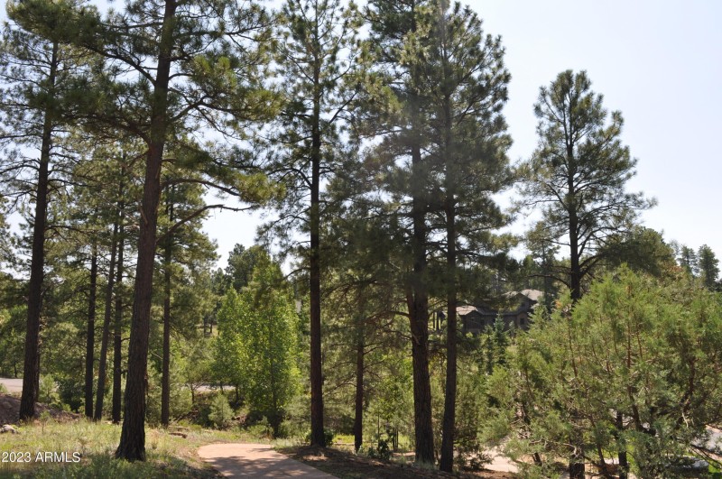 Lot Photo3