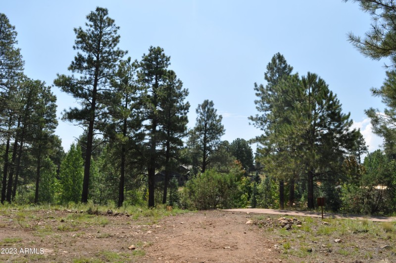 Lot Photo4