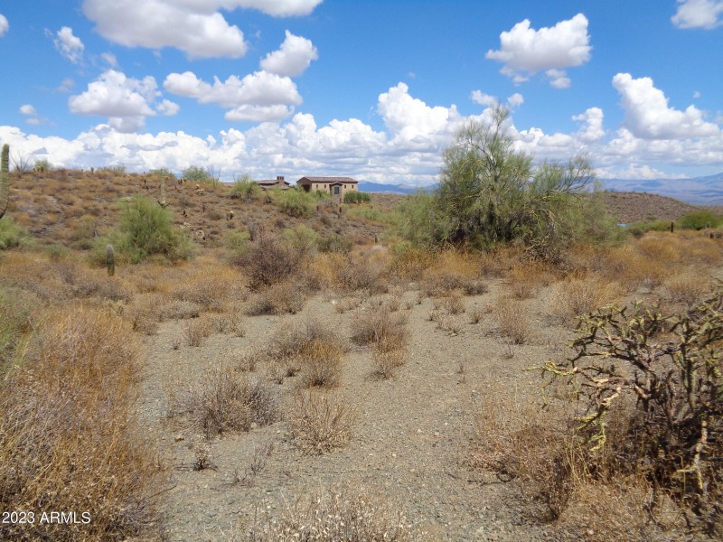 Landscape (1)