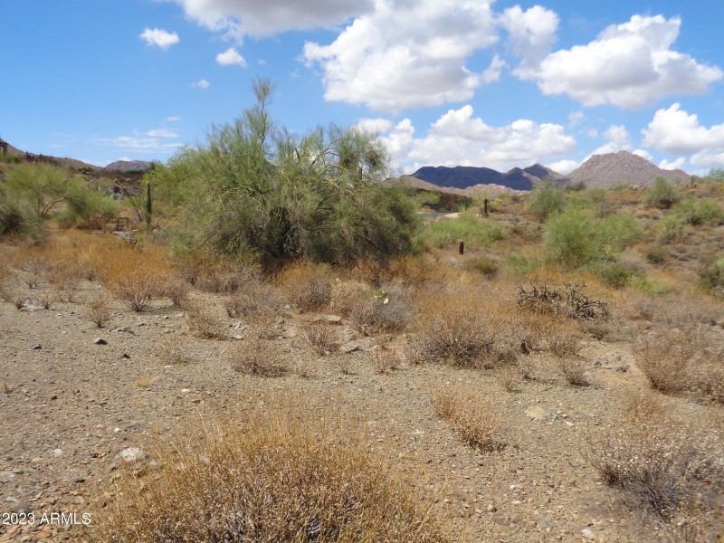 Landscape (2)